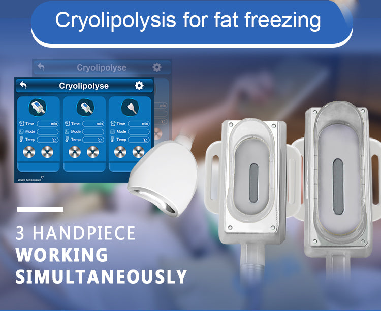 XSD-Cryomax01 Cryolipolysis 4 in 1 Slimming Machine